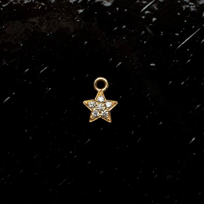 Single Diamond Pav Star Huggie Charm 14K Solid Gold Grayling Charm Necklaces Single Diamond Pav Star Huggie Charm 14K Solid Gold Grayling Charm Necklaces